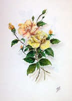 Работы  T. Valentini - Rose gialle watercolor бумага