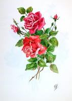 Работы  T. Valentini - Rose rosse watercolor бумага
