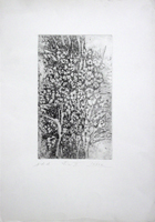 Работы  Raffaello Lopez - Fiori III - Prova di autore lithography бумага