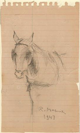 Quadro di Rodolfo Marma Studio di cavallo - lapis carta 