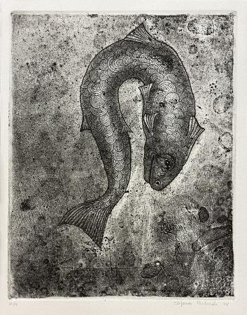 Art work by Stefania Puntaroli Il pesce - etching paper 