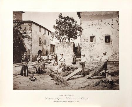 Quadro di Foto Fratelli Alinari Battitura del grano a Calcinaia nel Chianti - stampa carta 
