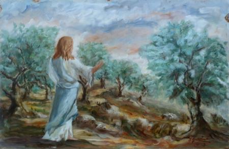 Quadro di F. Giovannoni Ulivi - olio truciolare 