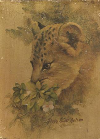 Quadro di Doris Scott Nelson Cucciolo di leopardo - Pittori contemporanei galleria Firenze Art