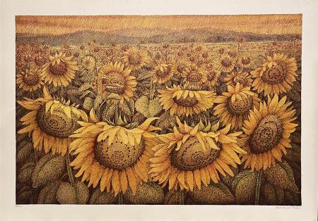 Art work by Adelindo Tassi Girasoli al tramonto - lithography paper 