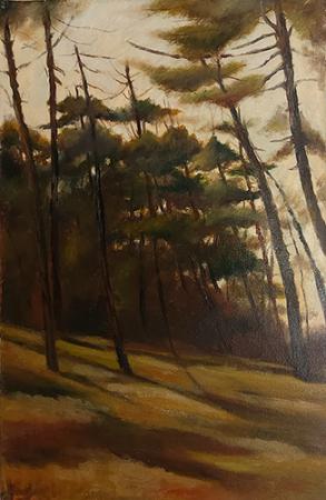 Quadro di Ilario Bini Bosco - olio tela 