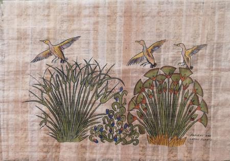 Quadro di  Anonimo Papirus And Lotus Plants - - carta 