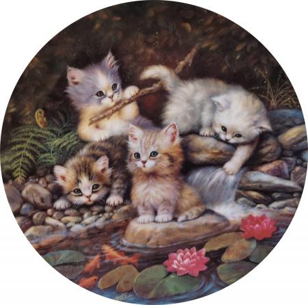 Quadro di  Anonimo Gatti  - stampa ceramica 