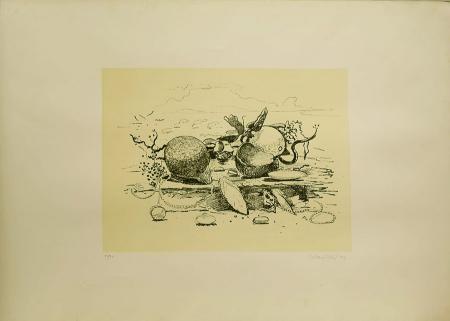 Art work by Giovanni Colacicchi Composizione  - lithography paper 