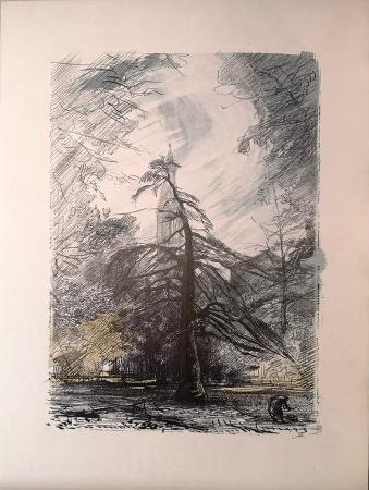 Art work by Luciano Guarnieri senza titolo  - lithography paper 