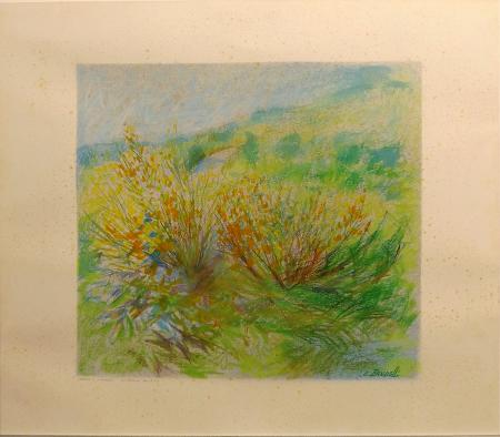 Art work by Enrico Bandelli Ginestra a S. Michele  - pastel paper 