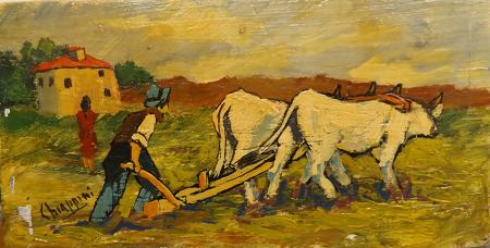 Quadro di  Chiappini Pastore e Buoi  - olio tavola 