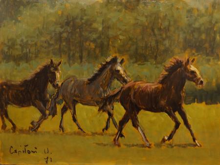 Art work by Ugo  Capitoni Cavalli - oil hardboard 