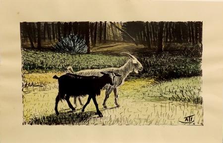 Art work by firma Illeggibile Capre  - print paper 