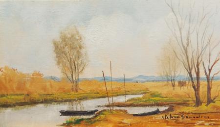Art work by Stefano  Giannantonio  Padule di Fucecchio  - oil table 