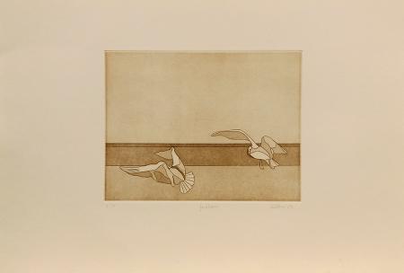 Art work by Giorgio  Alboni Gabbiani  - lithography paper 