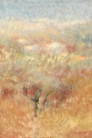 Quadro di R.  Biagiotti  Paesaggio - mista tavola 