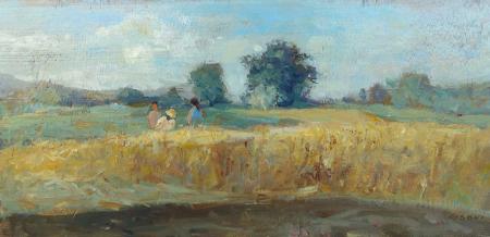Quadro di Giancarlo  Sani Campo di Grano - olio tavola 