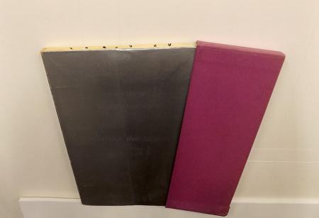 Art work by Felice Levini e Claudio Damiani  Saltatrice dei numeri  - lithography paper 