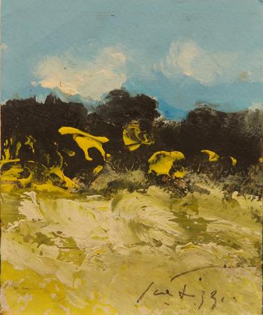 Art work by Sergio Scatizzi Ginestre  - acrylic paper 