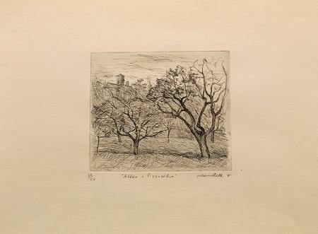 Art work by Pompilio  Mandelli  Alberi a Pizzocalvo  - lithography paper 