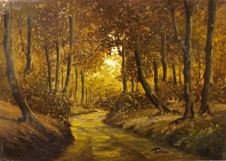 Art work by Luciano Torsi La strada per Nugola Vecchia  - oil canvas 
