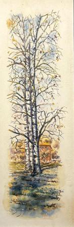 Art work by Elio Bargagni Albero di Betulla  - watercolor paper on table 
