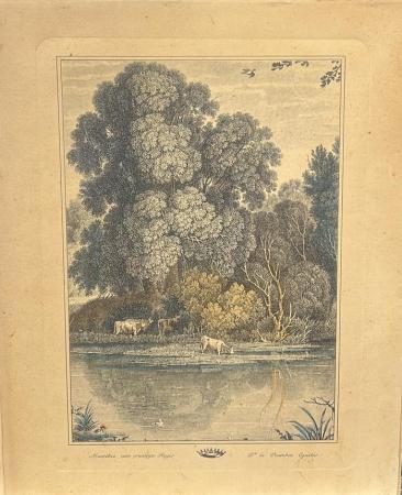Quadro di  Anonimo Paesaggio  - stampa carta 