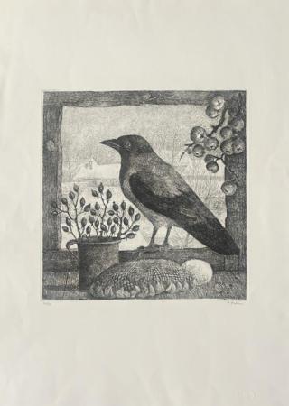 Art work by Enzo Bellini La cronacchia grigia  - etching paper 