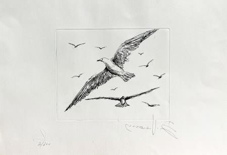 Art work by Ernando Venanzi Gabbiani in volo  - lithography paper 