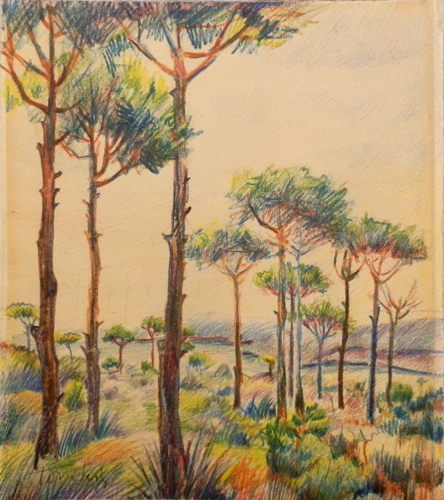 Art work by  Tomberli Alberi - matita paper 
