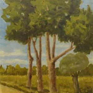  Beppe Renda