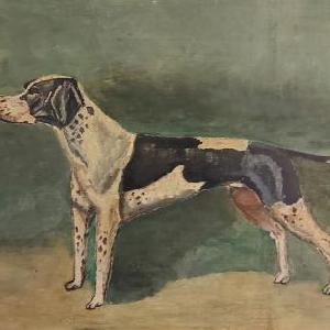  P. Biondi