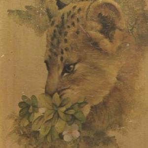  Doris Scott Nelson