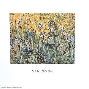  Vincent  Van Gogh