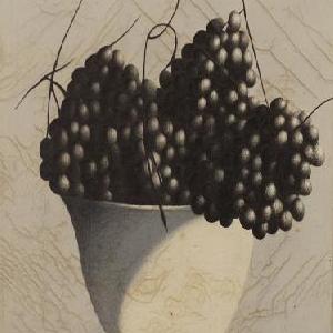  Salvatori Giuseppe