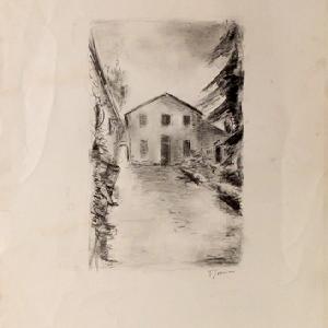  D. Giannini