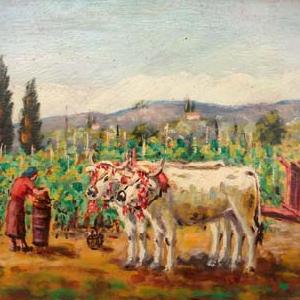   Vanzini