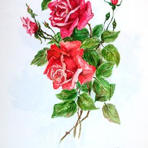  T. Valentini