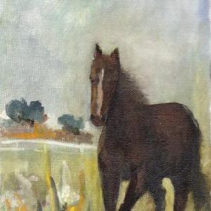  Vinicio Cammilli
