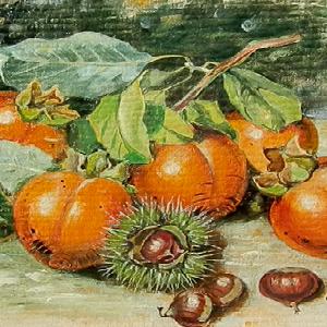  O. Masi
